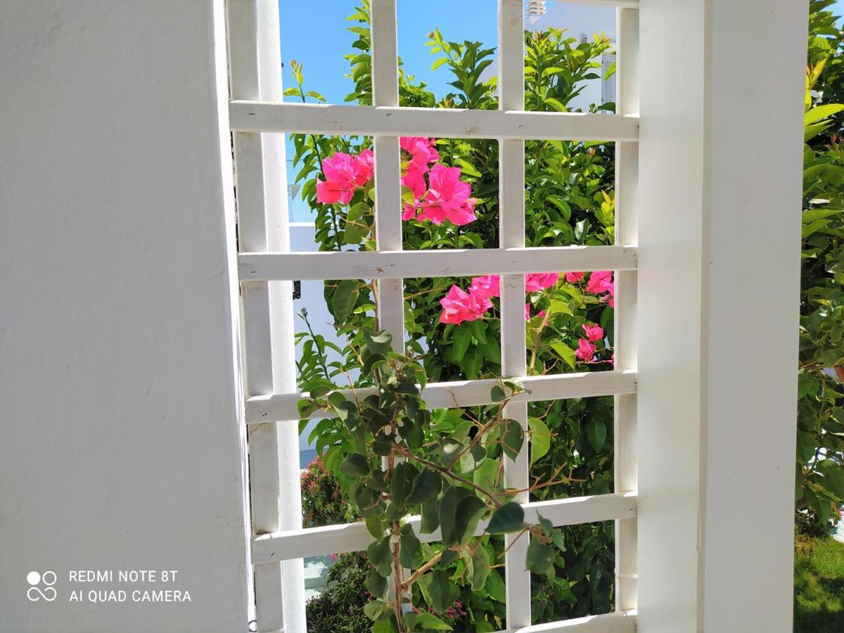 Geoni'S Villa & Garden Spa Apollonía Buitenkant foto